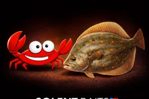 Plaice Pack fishing bait pack Solent Baits