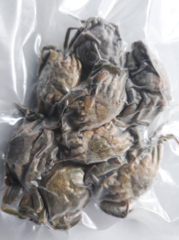 Peeler Crabs Match Pack Peeler Crabs Match Pack