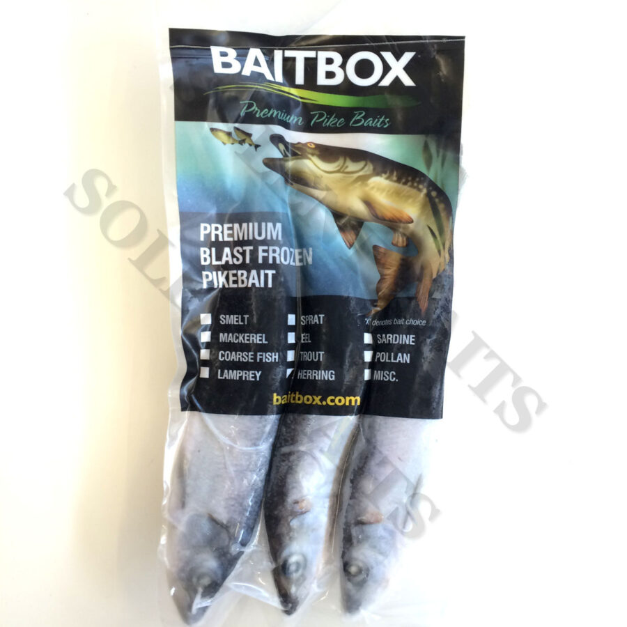 Baitbox Herring Whole,sea fishing baits,blast frozen,vacuum packed,
