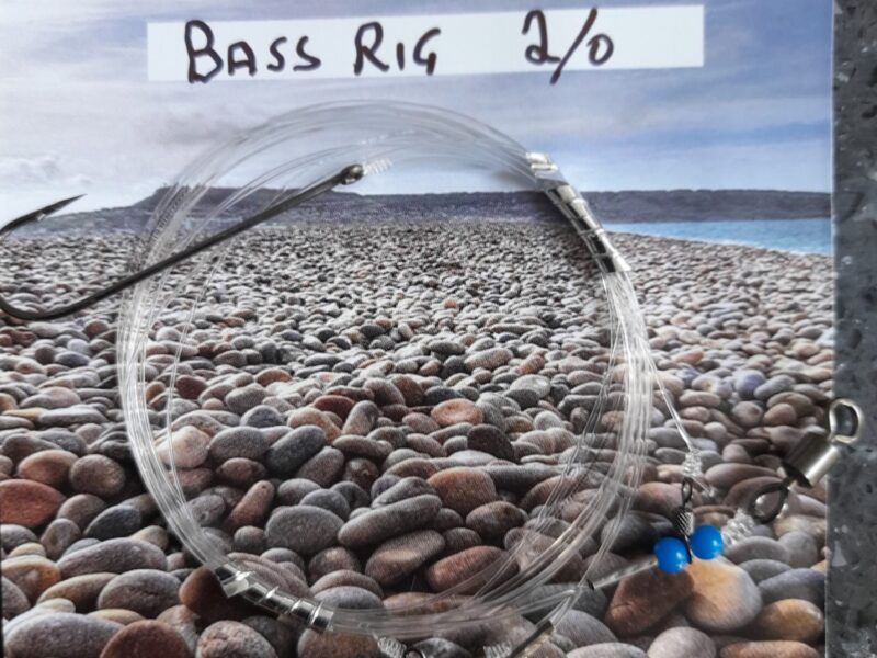 bass-rig-scaled-1.jpg