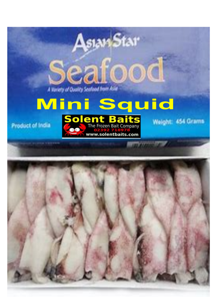 Mini squid | Solent Baits & Tackle