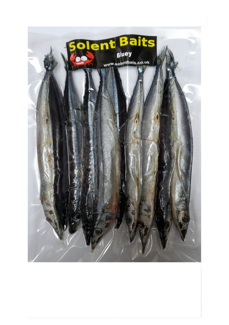Blueys ( pacific saury )10 Pack