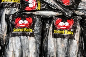 Small blueys – frozen sea fishing bait by Solent Baits, ideal for bass, bream, rays, and flatfish