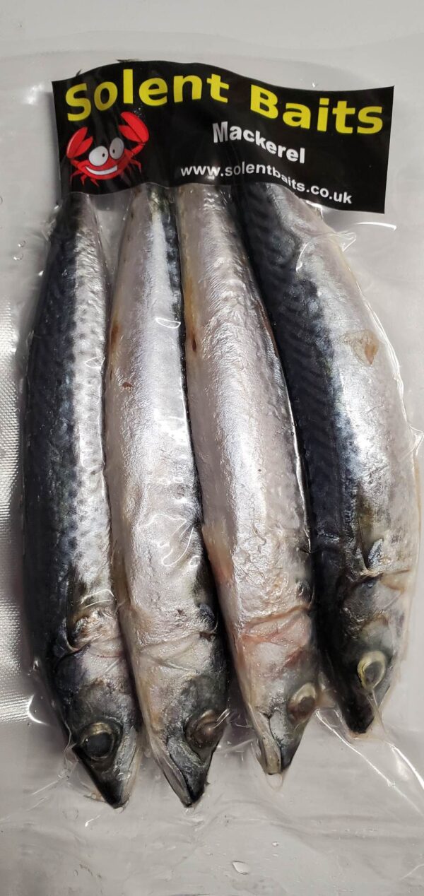 mini mackerel,mini mackerel joey mackerel,These mini mackere, joeys