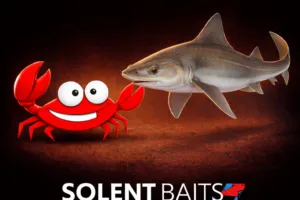 Smooth hound bait pack Solent Baits fishing bait bundle