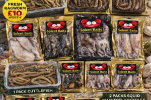 spring spring sea fishing bait pack UK ragworm lugworm squid cuttlefish cocktail baits frozen bait bundle £70 Solent Baits