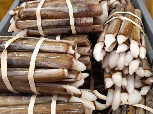 1 kg Razor-Fish (Razor Clam) – Premium Bulk Sea Fishing Bait | Solent ...