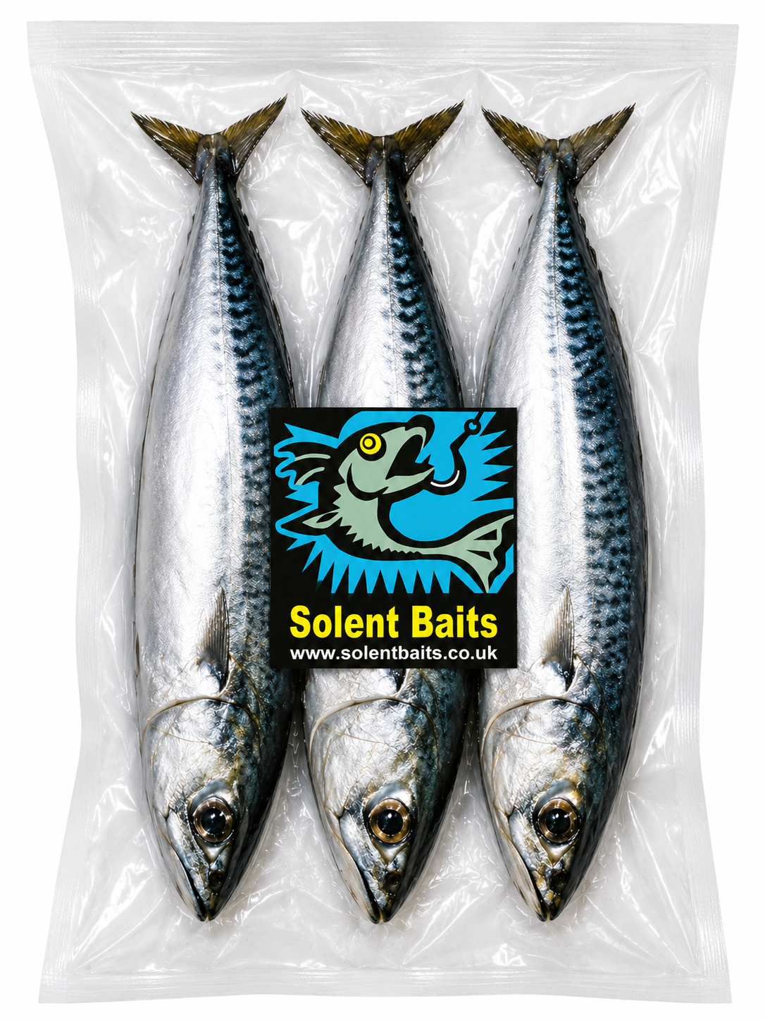 Spanish mackerel fishing bait vacuum packed frozen sea fishing bait by Solent Baits