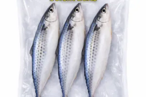spanish mackerel 2 Spanish mackerel frozen fishing bait UK β whole bait for cod, bass and rays