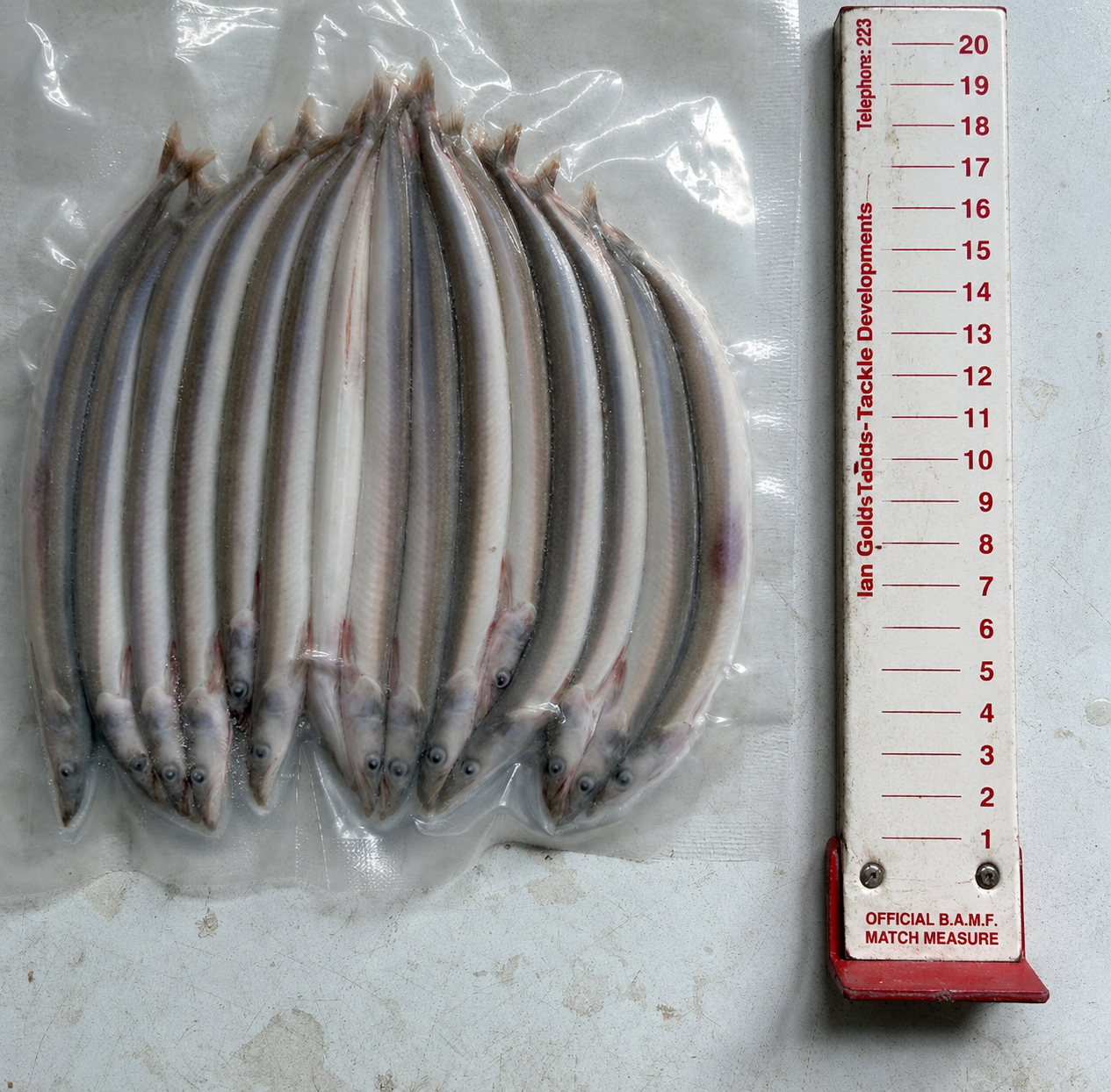 riot-baits-large-sandeels