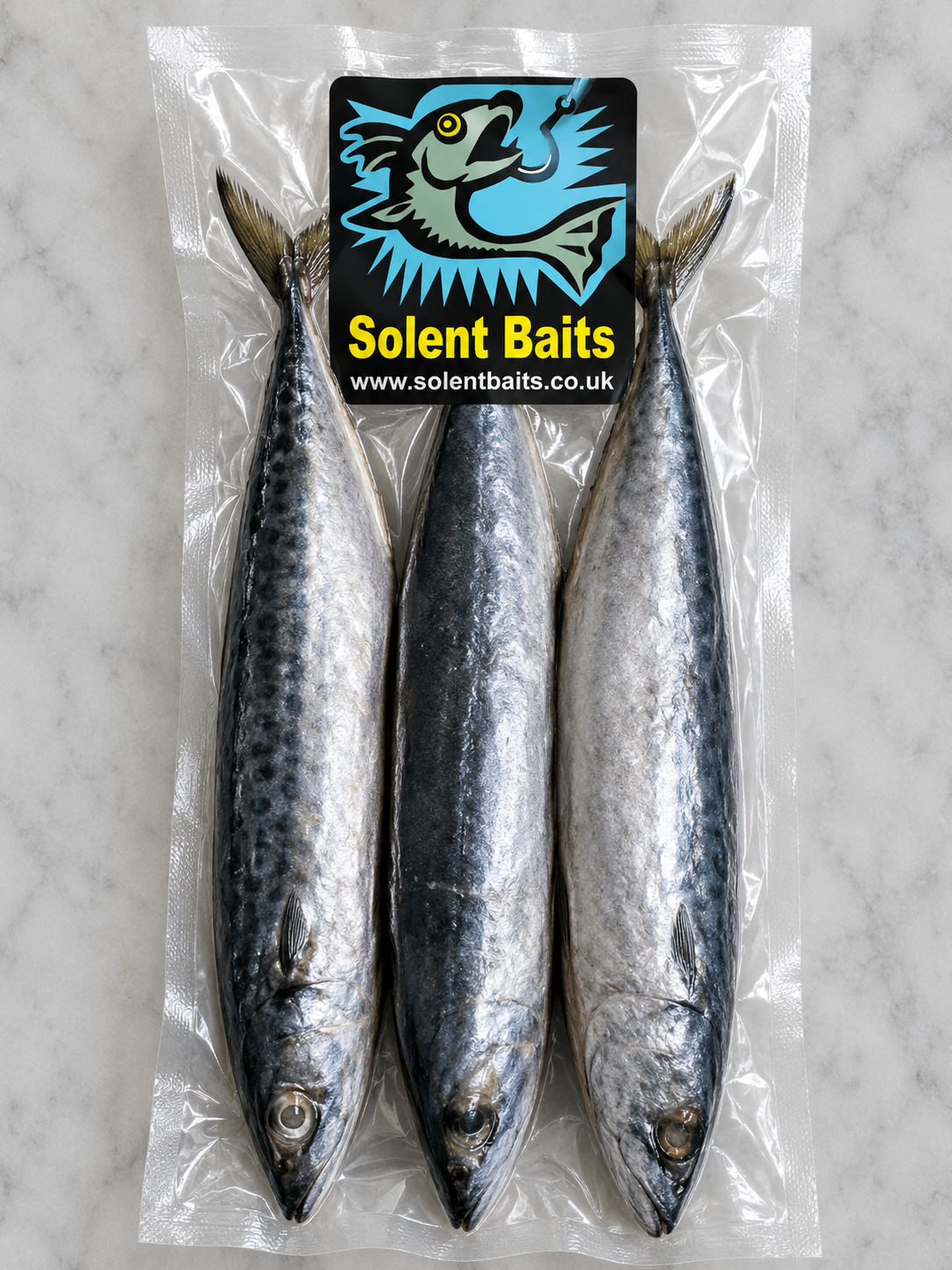 Joey mackerel whole fishing bait vacuum packed IQF frozen sea fishing bait UK