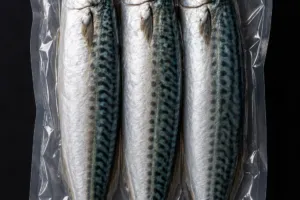 whole mackerel 3 pack frozen fishing bait vacuum packed UK