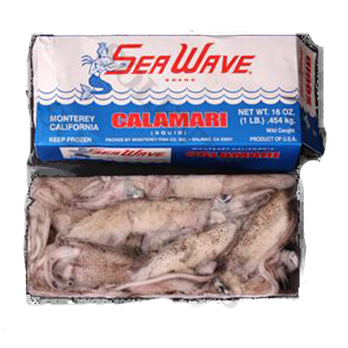 Calamari Squid Squid Illex Californian Frozen Squid Mail Order